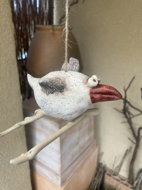 Pták s červeným zobákem — foto 2