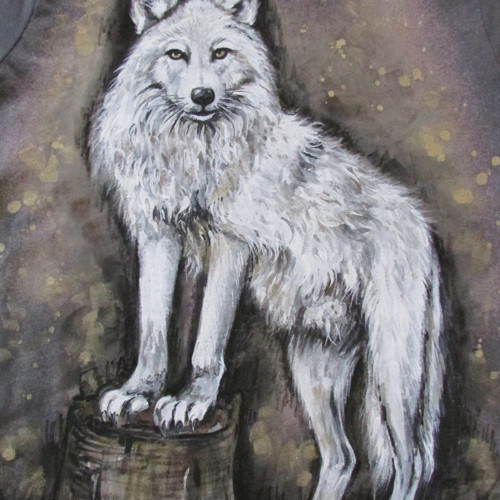 Polar Wolf, vel. L — foto 2