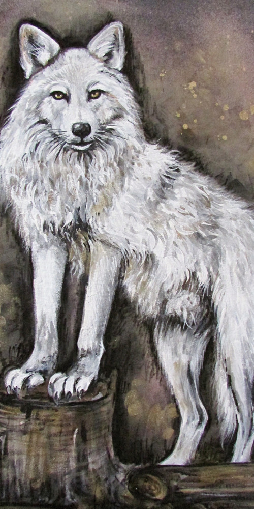 Polar Wolf, vel. L — foto 5