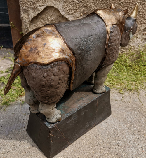 Indický nosorožec — foto 3