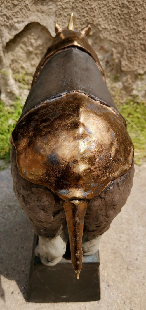 Indický nosorožec — foto 4