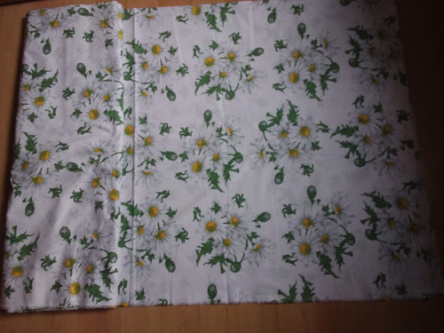 Kopretiny — foto 2