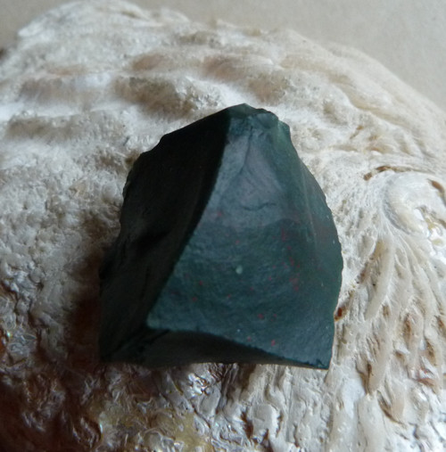 Heliotrop surový - 3,5 cm — foto 6