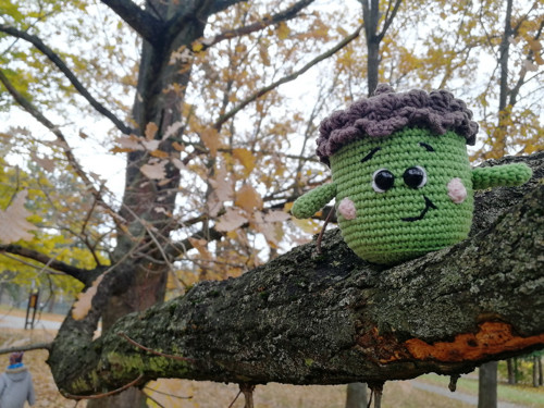 Hackovany žalud — foto 2