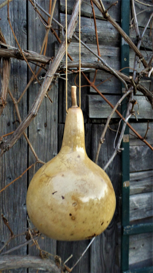 Budka z tykve — foto 3