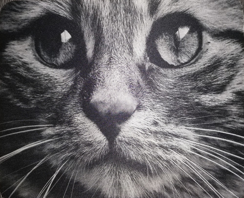 Podložka pod myš, kočka Černobílá — foto 2