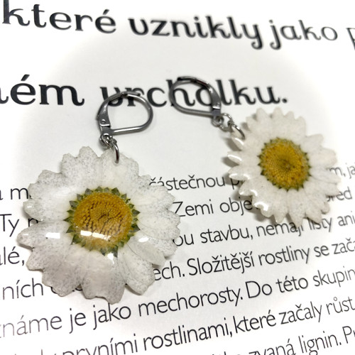 Náušnice z kopretin — foto 2