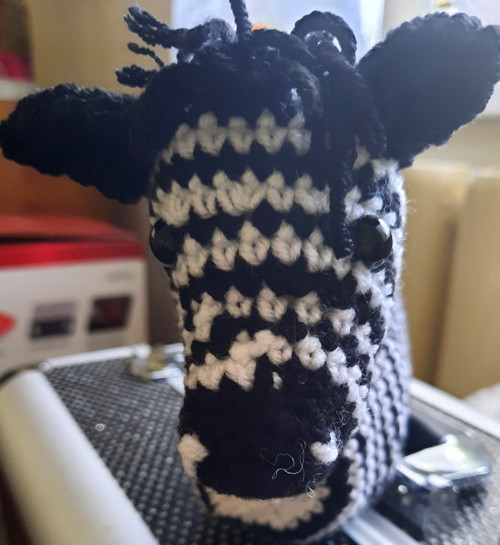 Háčkovaná zebra — foto 2