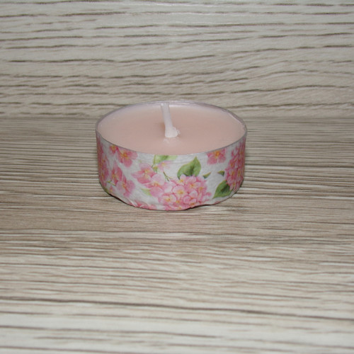 Růžové hortenzie_02 — foto 2