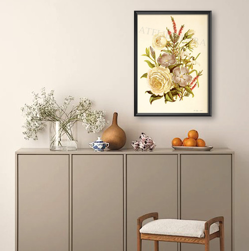 Z herbáře — foto 3