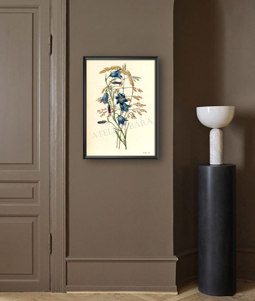Z herbáře — foto 3