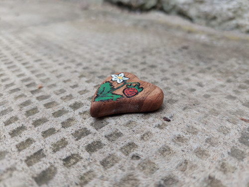 Srdíčko - lesní jahoda — foto 4
