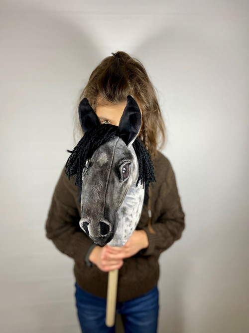 Blue Roan - modrý bělouš — foto 2