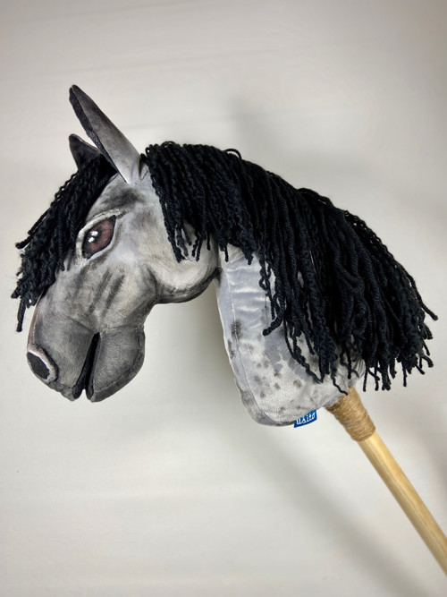 Blue Roan - modrý bělouš — foto 5