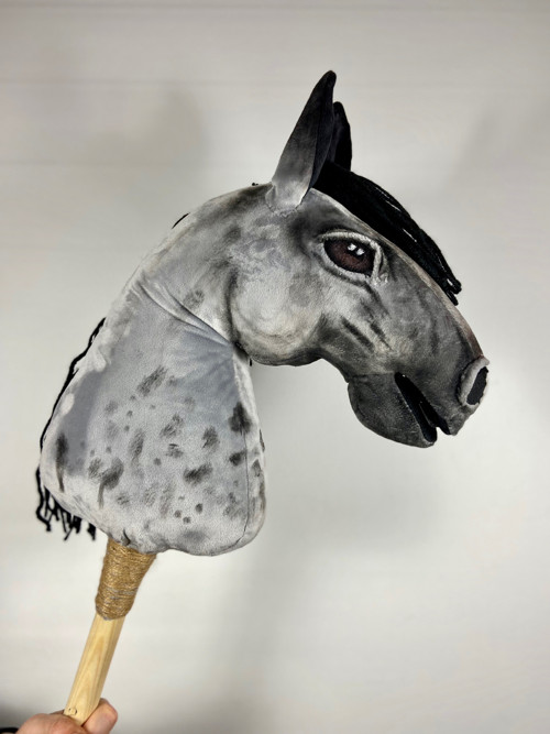 Blue Roan - modrý bělouš — foto 4