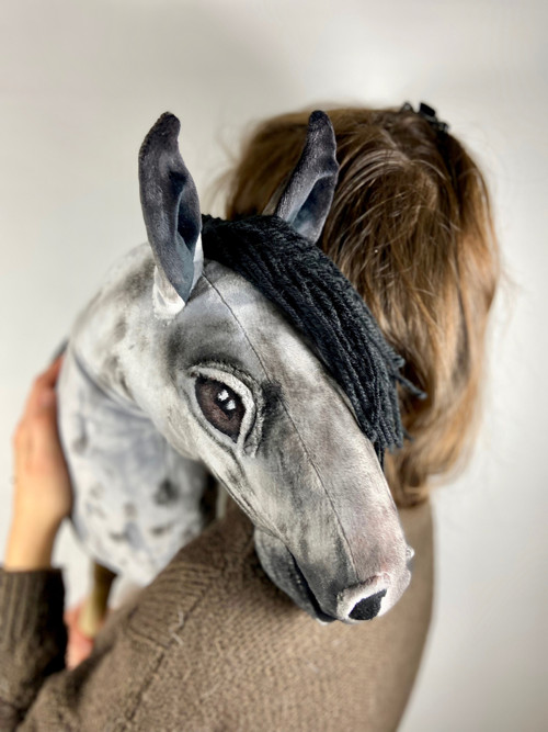 Blue Roan - modrý bělouš — foto 3