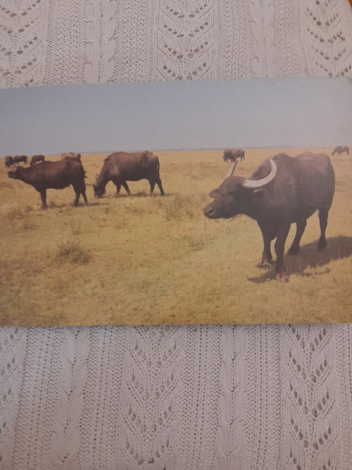 V zoologickej záhrade — foto 4