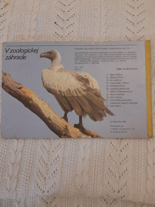 V zoologickej záhrade — foto 2