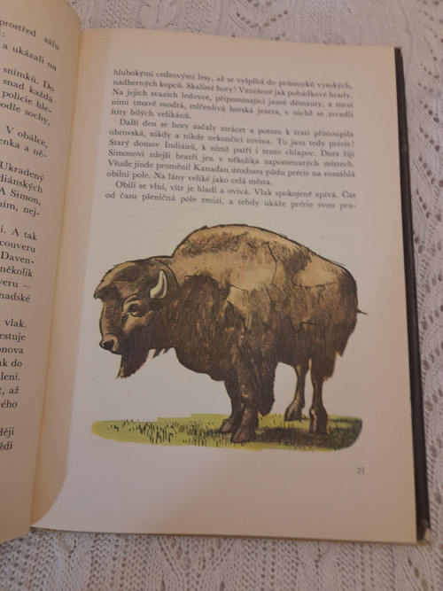 Ukradený totem - Miloslav Stingl — foto 3