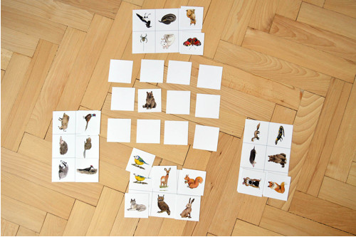 Loto český les — foto 3