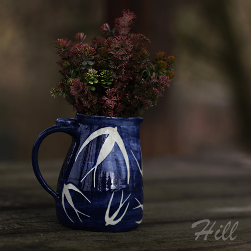 Vlaštovičky - Džbánek — foto 4