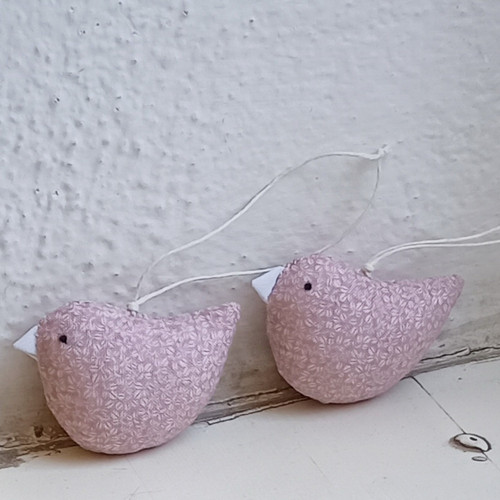 Ptáček starorůžový — foto 4