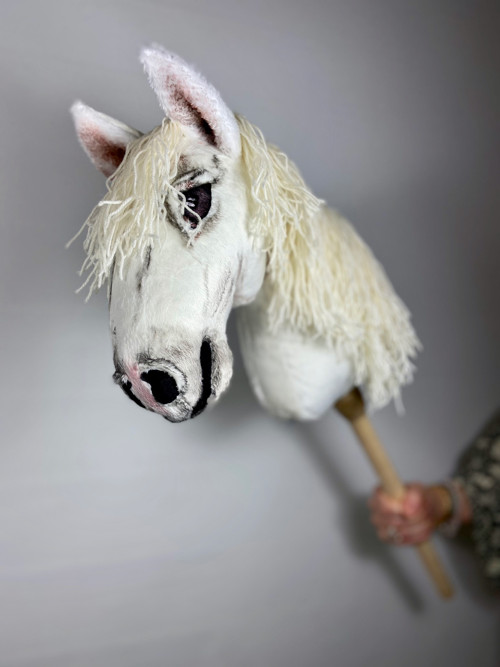 Jurášek - Hobby horse — foto 3