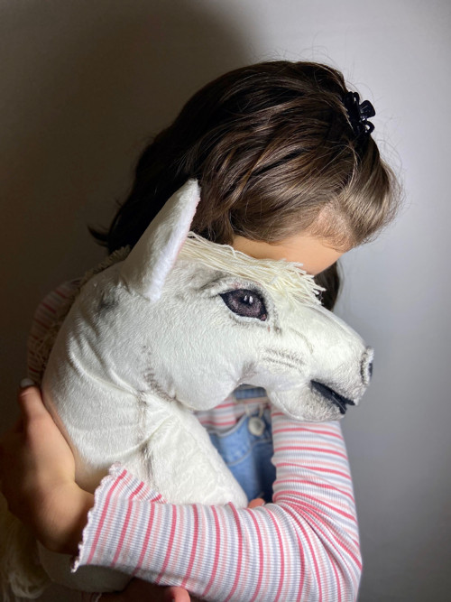 Jurášek - Hobby horse — foto 5