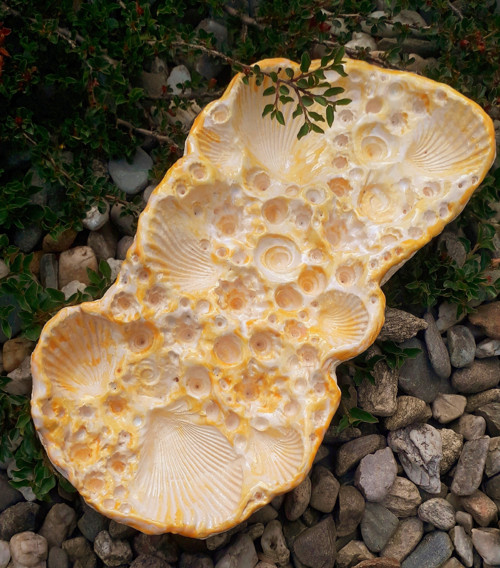 Pítko pro hmyz - žluté — foto 6