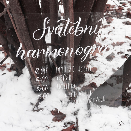 Svatební cedule Svatební harmonogram — foto 2