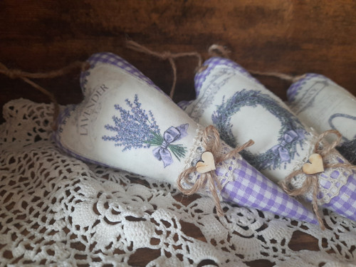 Srdínko lavender — foto 4