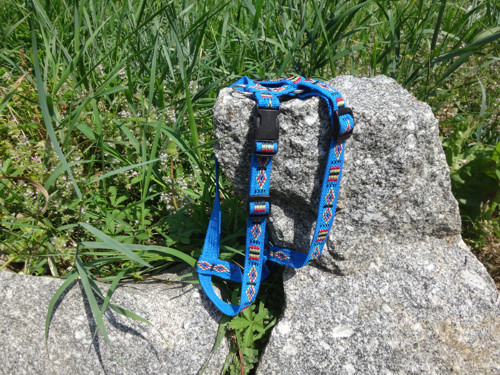 Postroj pro psa — foto 2