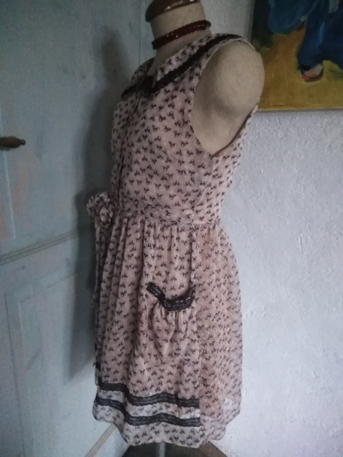 Staromilsky kočičí — foto 5