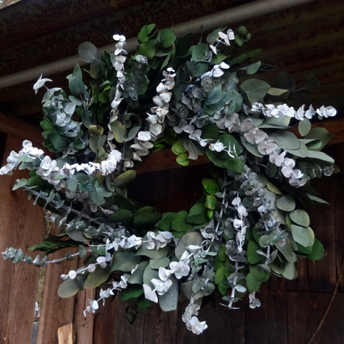 Věnec - Eucalyptus 2 — foto 4