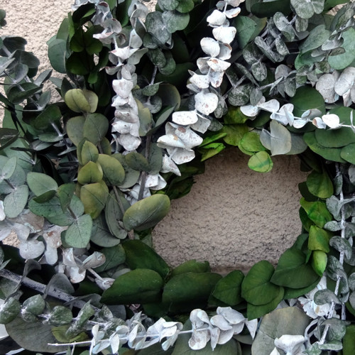 Věnec - Eucalyptus 2 — foto 5