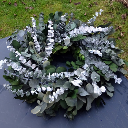 Věnec - Eucalyptus 2 — foto 3
