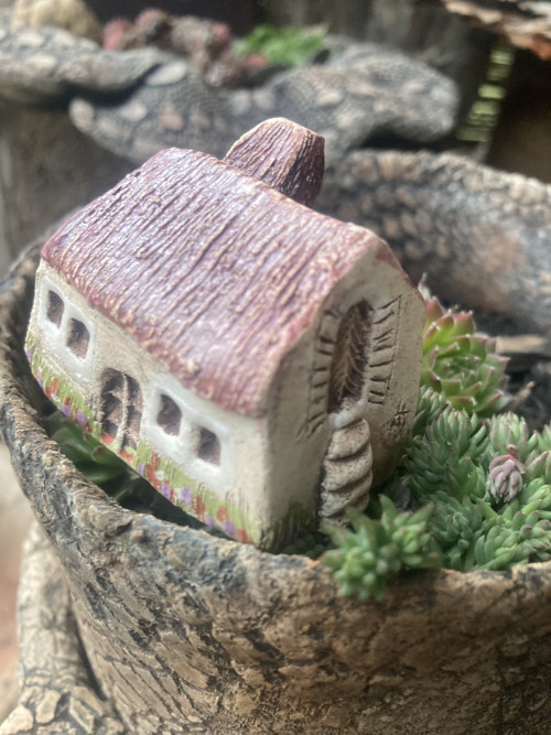 Venkovský domek — foto 6