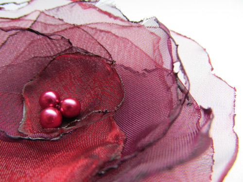 Ostružinové víno... — foto 2