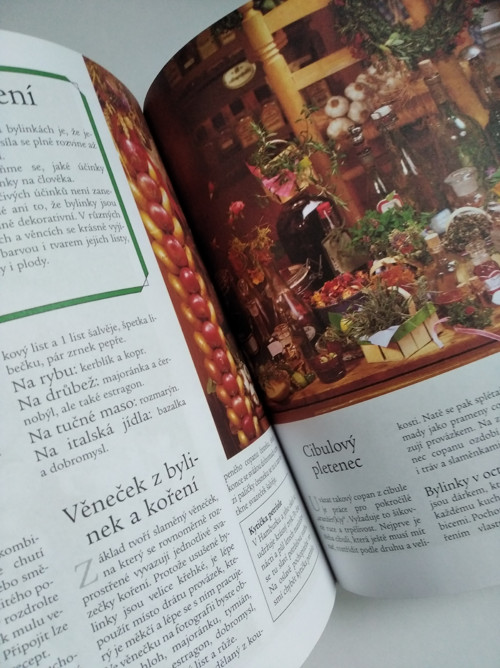 Suché květiny — foto 3