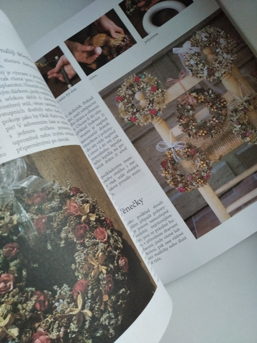 Suché květiny — foto 6
