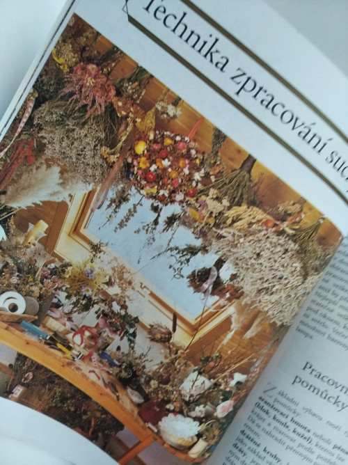 Suché květiny — foto 2