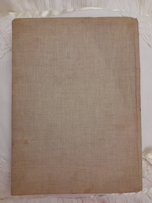 Zvířata zblízka — foto 2