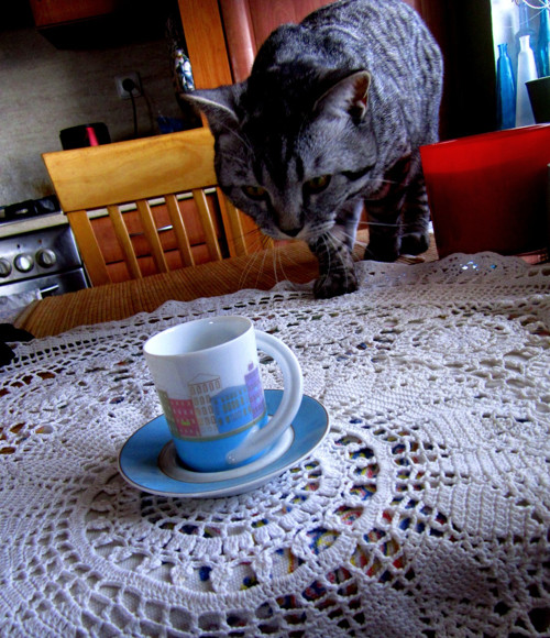 Rosenthal souprava na espresso — foto 2