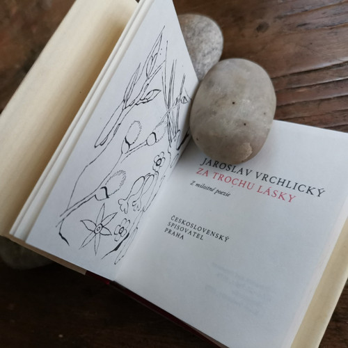 Za trochu lásky — foto 3
