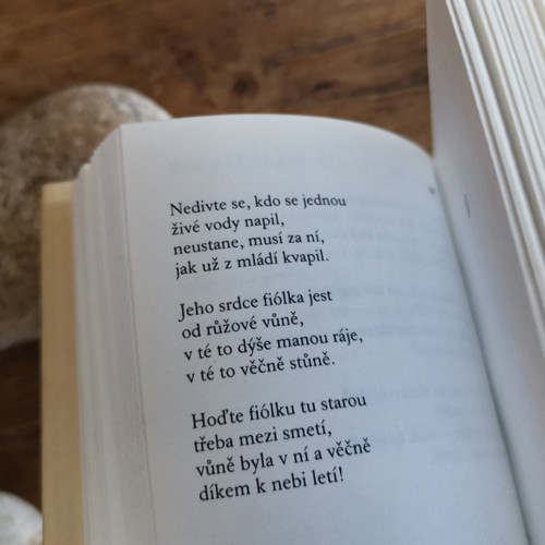 Za trochu lásky — foto 5