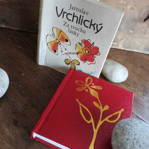 Za trochu lásky — foto 6
