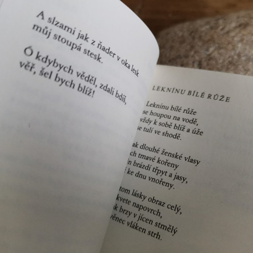 Za trochu lásky — foto 4