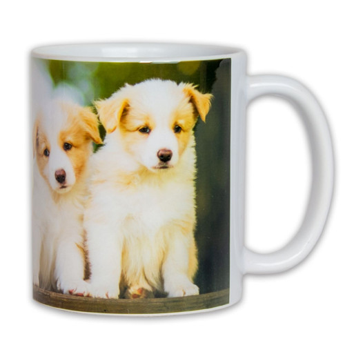 Hrnek – Štěňata Border Collie — foto 2