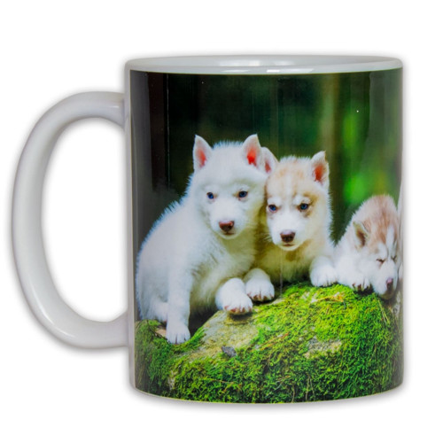 Hrnek – Štěňata Husky — foto 2