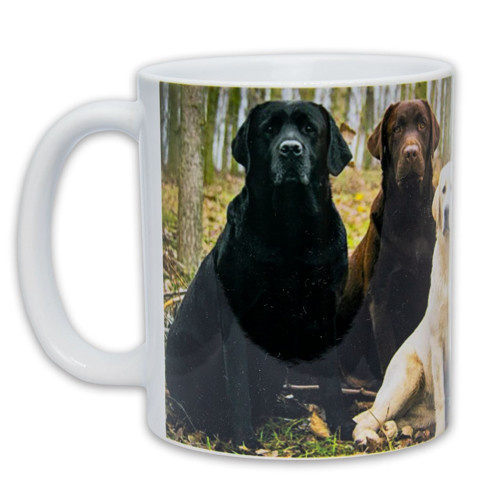 Hrnek – Labradorský Retrívr — foto 2